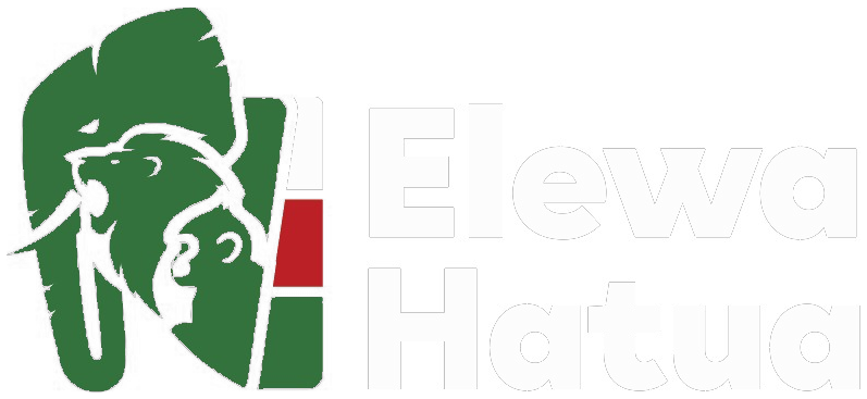 Elewa Hatua