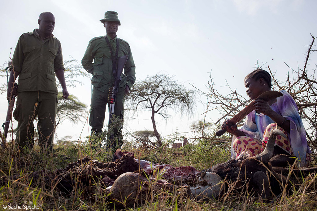 Rangers attending the scene of a livestock loss alongside the affected household