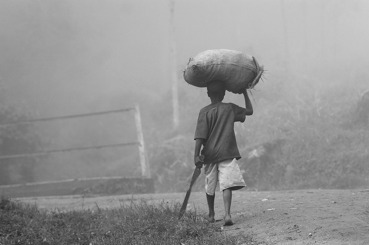 Smallholder farmland on the wildlife frontier